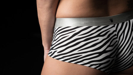 MP4 SHORTY ZEBRA